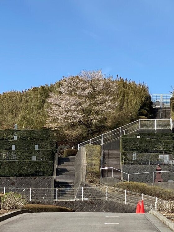 Instagramで熱海日金山霊園を紹介していただきました