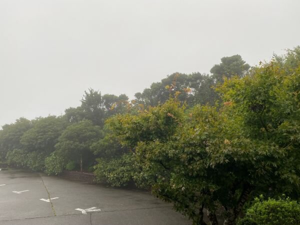 雨.jpg